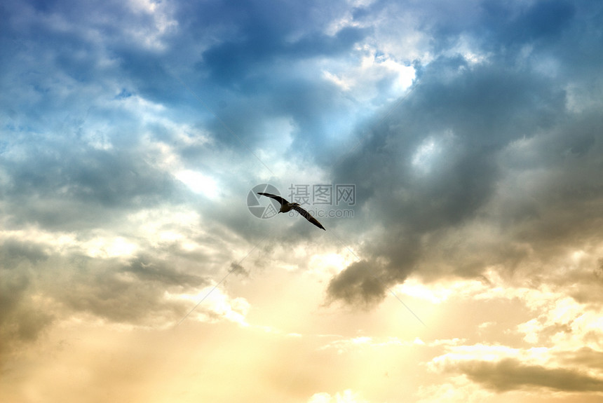 鸟戏剧的云与太阳光图片