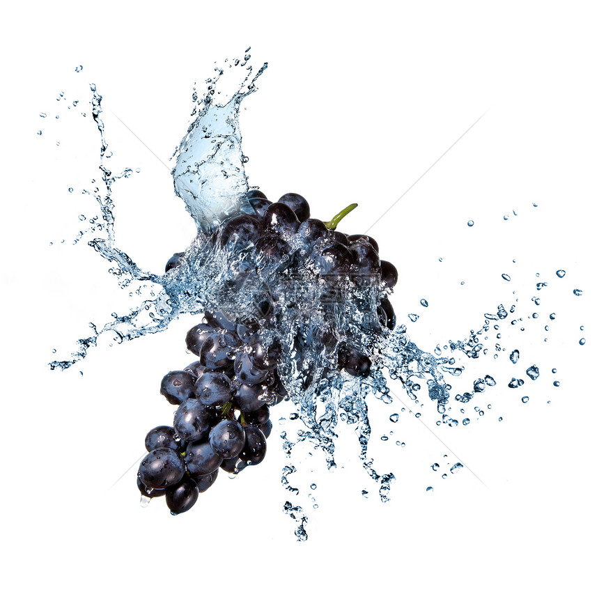 蓝色葡萄与水溅白色上图片