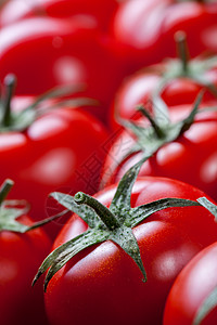 红色西红柿背景的风景图片
