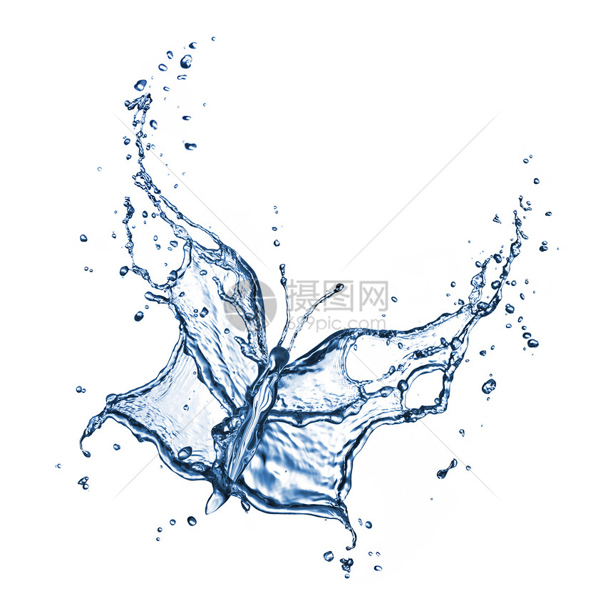 蝴蝶水中飞溅白色上图片