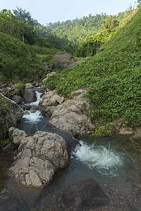 泰国热带森林Khaoyai公园高清图片