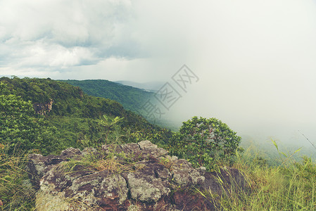 泰国高台热带森林景观观,自然图像用于背景壁纸背景图片