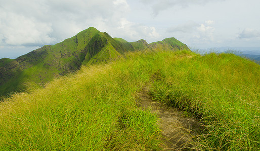 大山里美丽的夏季景观图片