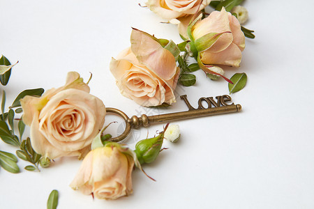 宽恕钥匙米色玫瑰花蕾白色背景上,文字的带玫瑰花瓣的钥匙背景