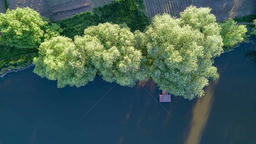 笔直的木桥森林景观全景顶部的视图由无人机拍摄的湖泊桥梁绿色森林区的鸟瞰图图片
