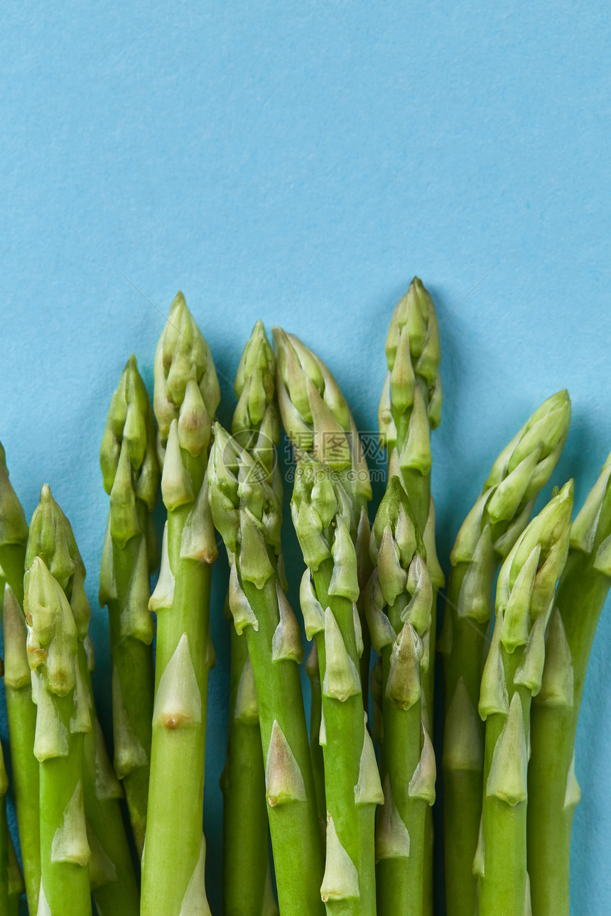 新鲜的绿色芦笋蓝色背景上分离美食食物蔬菜平躺机智新鲜的芦笋茎分离蓝色图片
