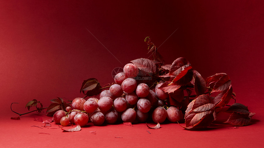 葡萄叶串成熟的红色葡萄红色的背景上成熟的红色葡萄红色的背景上图片