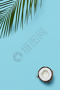 作文班成熟半部分机椰子绿色棕榈叶的成,蓝色背景,文字创造的布局平躺创意框架由棕榈叶椰子半部分蓝色背景与复背景
