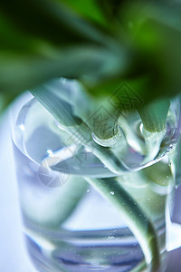 绿色透明花瓶绿色花瓣透明花瓶的特写与郁金香茎水,模糊的背景璃花瓶的特写与郁金香茎水背景
