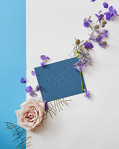 贺卡上紫色的花蓝色的纸白色的背景上,平躺着春花的框架背景图片