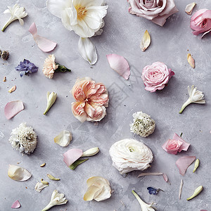 图案花瓣花蕾的玫瑰灰色混凝土背景,平躺花的背景背景图片