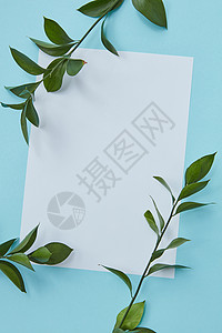装饰白色框架蓝色背景上,用绿色的树枝装饰角落里明信片装饰的树叶树枝图片