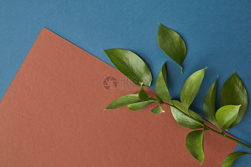 张纸深蓝色的背景下,装饰着根绿叶的树枝平躺张纸文本图片