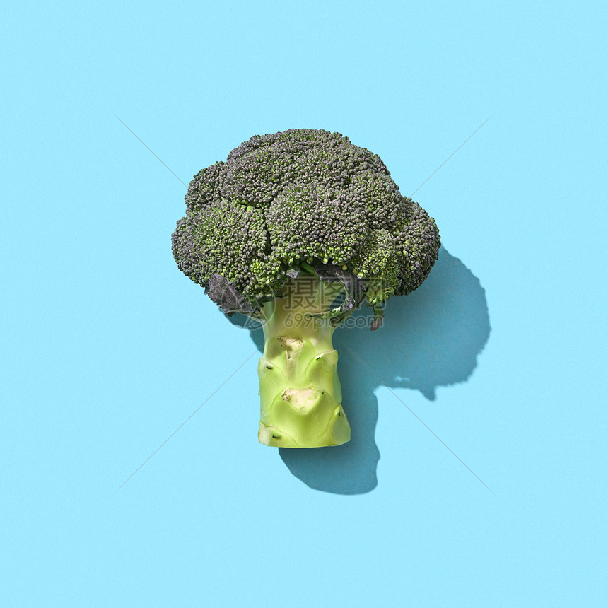 西兰花种健康的维生素蔬菜,呈现蓝色背景上,阴影中的图案维生素饮食食物的风景新鲜机西兰花卷心菜图片