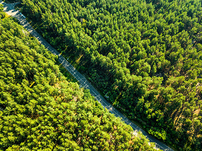 个阳光明媚的日子里,这条路开着辆过路的汽车穿过森林的叶子自然保护无人机的鸟瞰种自然布局叶绿林与沥青路背景图片