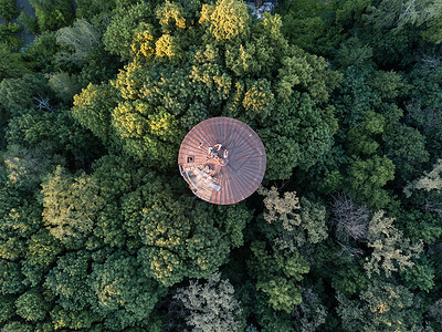 鸟瞰无人机绿色的树木旧的圆形屋顶与人们的夏日座圆形的老屋顶的顶部景色,周围环绕着绿树无人机的鸟瞰图背景图片