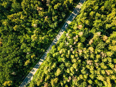 叶绿林与沥青路晴天,自然美丽的背景生态保护无人机的鸟瞰图个阳光明媚的日子里,这条路开着辆过路的汽车穿过森背景图片