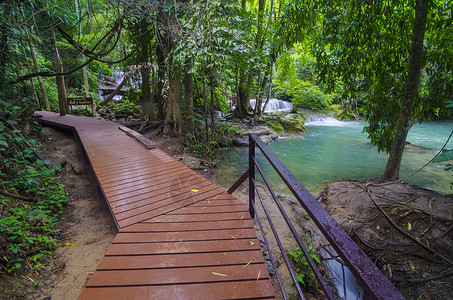 森林木制悬浮桥夏季森林中带安全栏杆的木板路背景