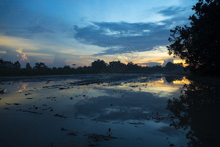 亚洲湿地日落图片