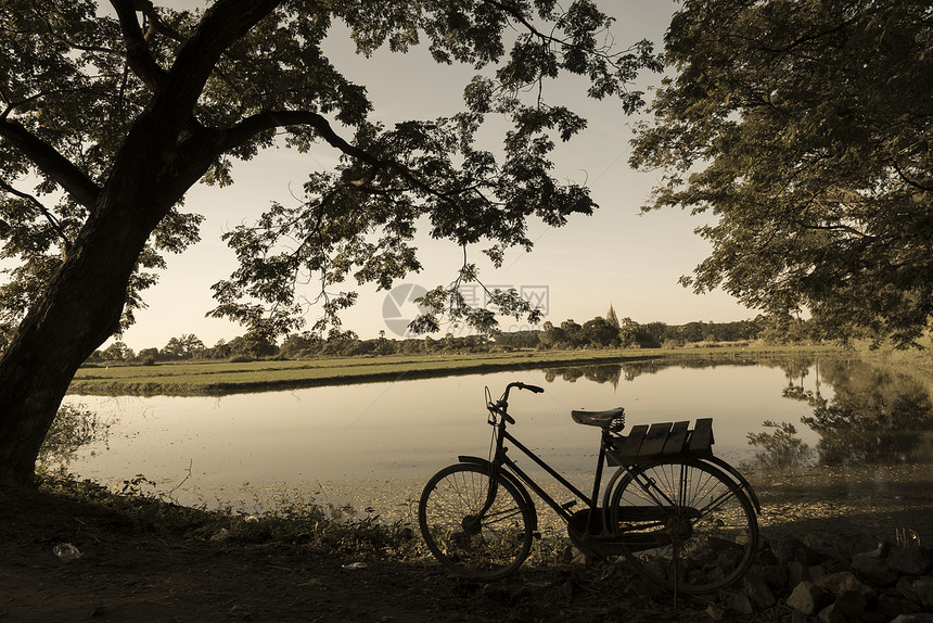 农村田地的自行车图片