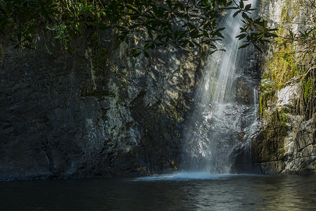 热带深林中的瀑布图片
