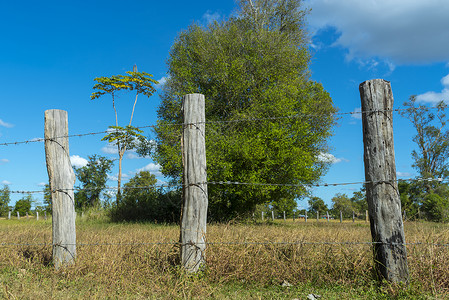 农村的木栅栏图片