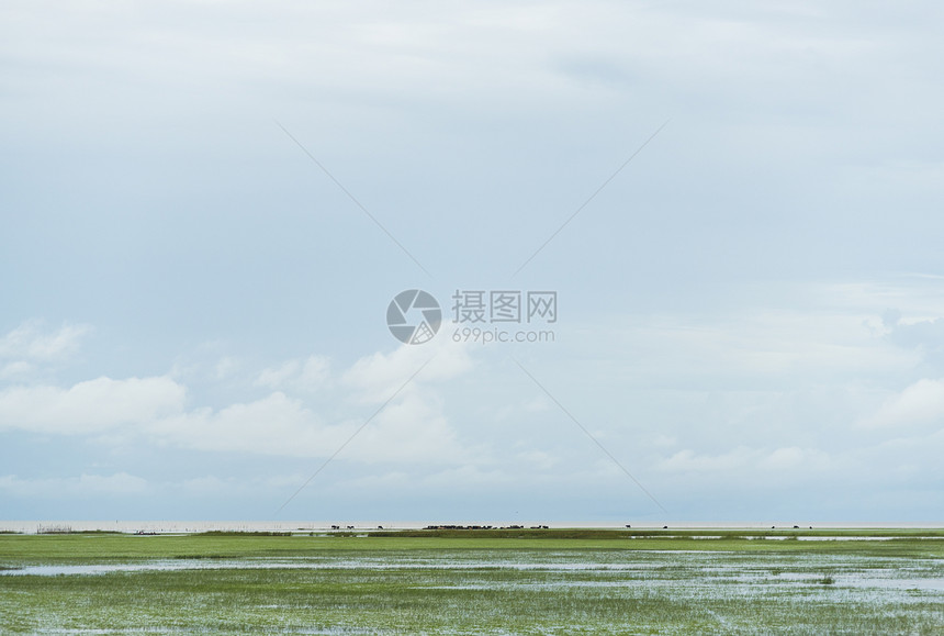 蓝天湿地领域图片