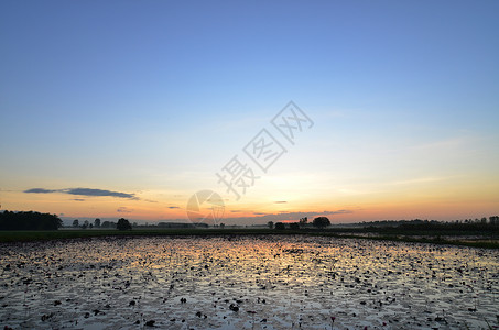 五颜六色的日落湿地上图片