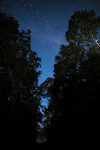 美丽的夜空,银河树木图片