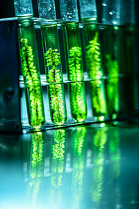 科学家化学实验室测试天然产物提取物石油生物燃料溶液背景图片