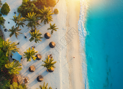 日落时,印度洋的沙滩上俯瞰雨伞棕榈树非洲桑给巴尔的暑假热带景观棕榈树,阳伞,白沙,碧水,海浪的风景背景图片