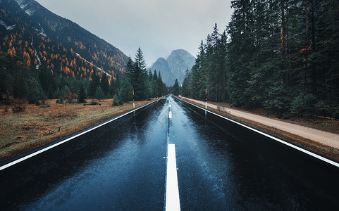 雨中秋林中的道路阴雨天完美的沥青山路倒影松树的巷道复古风格运输雾林中的空公路秋天背景图片