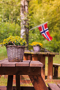 挪威野餐地点木制桌子长凳户外绿色森林公园,欧洲挪威绿色野餐地点图片