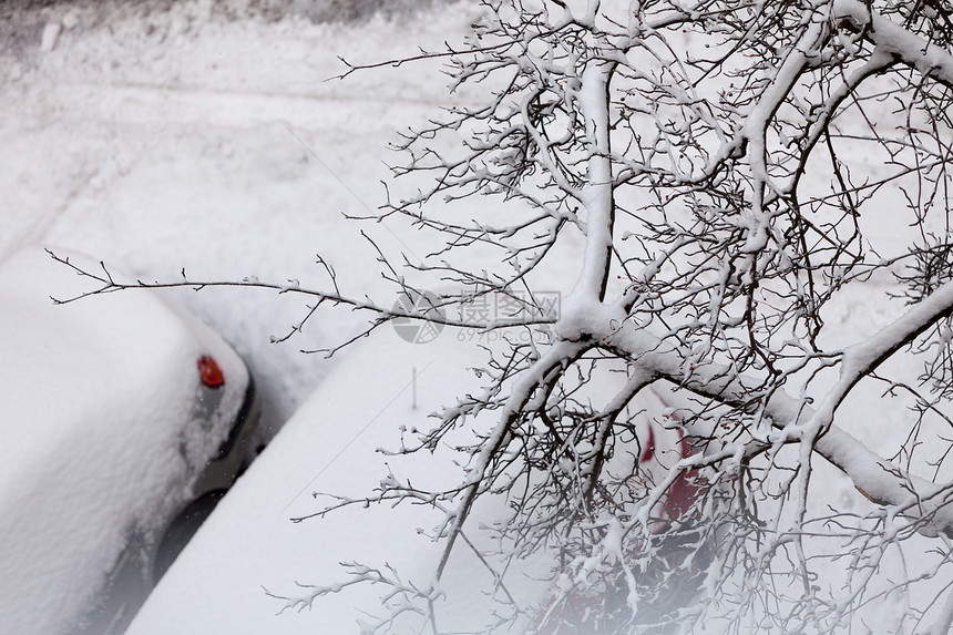运输,冬季季节停放的汽车暴风雪后被雪覆盖冬天暴风雪后停了车图片