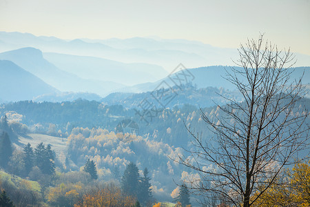 秋落雾山景观斯洛伐克塔特拉秋天的颜色山上的树米西的早晨季节自然风光秋季雾山景观斯洛伐克背景