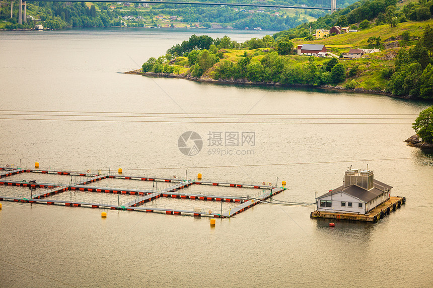 平静的河流湖泊上的挪威鲑鱼养鱼场挪威水上鱼类养殖场图片