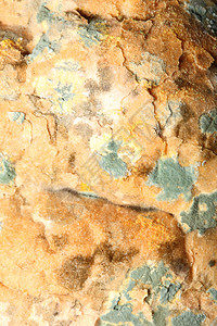 霉菌生长的老包没纹理背景高清图片