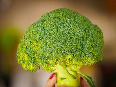 女手生绿色蔬菜西兰花天然机健康食品妇女持西兰花蔬菜图片