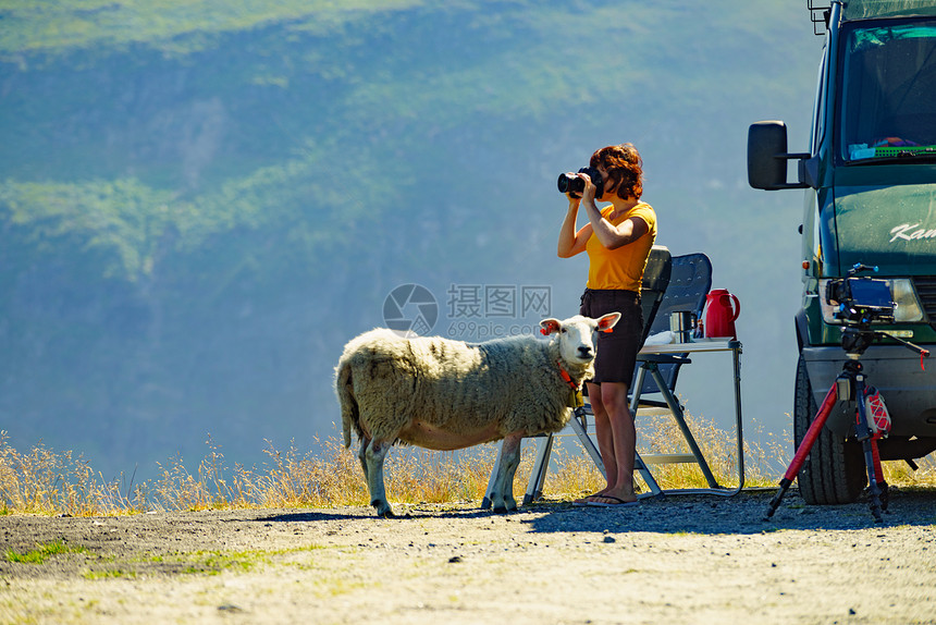 露营车绵羊路边女游客拍照与相机,享受夏季景观,挪威旅游度假旅行挪威自然的游客拍照图片