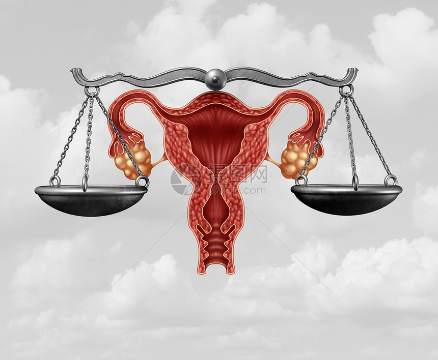 堕胎立法生殖正义生殖权利法的法律,由决定关生命选择的法律,并附3D插图要素图片