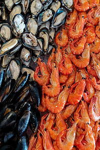 红虾,绿色贻贝黑色贻贝海鲜冰自助酒吧图片