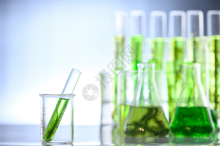 叶绿体海藻科学实验实验室研究中的应用背景