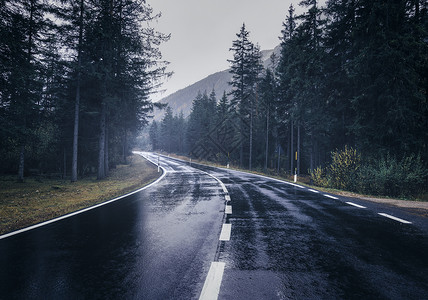 道路夏天的雾林中下雨景观与完美的沥青山路阴雨天雾中反光绿树的巷道复古风格空公路旅行道路夏天的雾背景图片