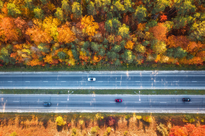 日落时美丽的秋林中的道路鸟瞰五颜六色的景观与公路,汽车,树木与红色,黄色橙色的叶子巷道的顶部视图秋天的颜色秋天图片