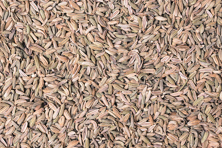 干茴香籽食品背景纹理茴香籽食物背景图片
