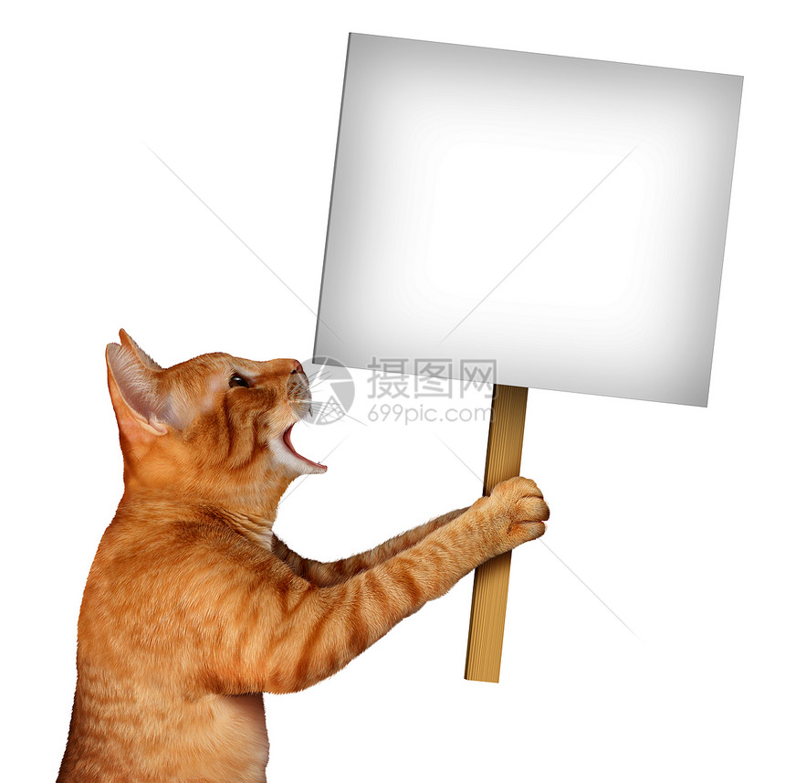 猫着个空白的标志个可爱的塔比猫猫与个开放的嘴表达,传达个与宠物护理兽医服务关的信息个白色背景与3D插图片
