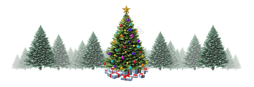 诞树水平边框与松树白色背景上,节日的常青林,并为寒假季节提供礼物装饰,3D插图冬天高清图片素材