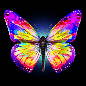 幻想蝴蝶种美丽明亮抽象昆虫,代表了三维插图元素的神奇蝴蝶的翅膀图片