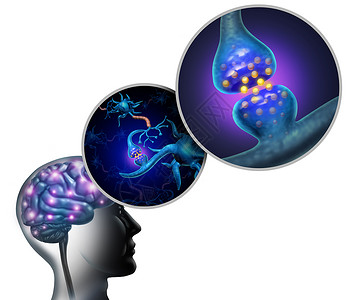 大脑神经系统内的神经学解剖神经细胞多发硬化症阿尔茨海默病精神健康图标的神经元功能符号,三维插图元素图片