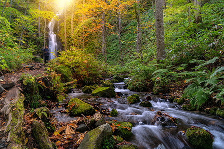 日本青森东北森林林地瀑布的秋景图片
